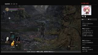 DARK SOULS3 カナメ親子がサクサク？RTAプレイ