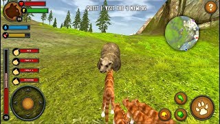 Cats of the Forest Gameplay - QUEST 1-2 VISIT THE 4 NYMPHS, DEFEAT ALL BOSSES