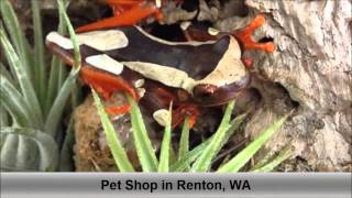 preview picture of video 'Pet Shop Renton WA Sierra Fish And Pets'