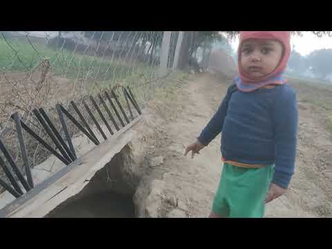 Puppies krishika friends