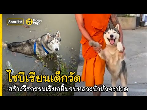 คลิกเพื่อดูคลิปวิดีโอ