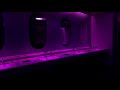 Pain By Pinkpantheress But You Re In A Bathroom