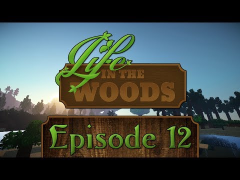 Minecraft - Life in the Woods Modpack - #12