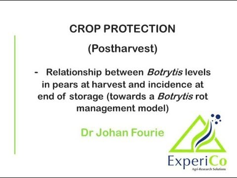 19 Relationship between quantified Botrytis cinerea levels in pear fruit at harvest and the Botrytis