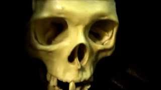 Tunnelbirds- Mr. Death