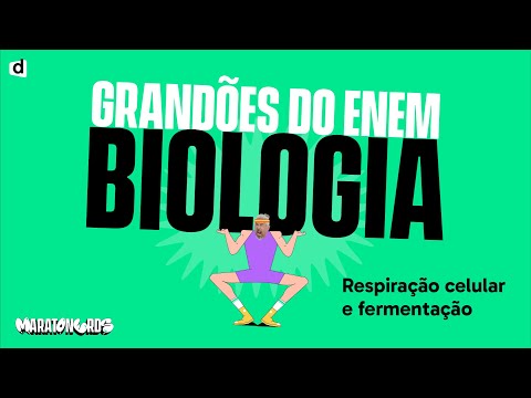 Cellular Respiration and Fermentation - Summary | Biology