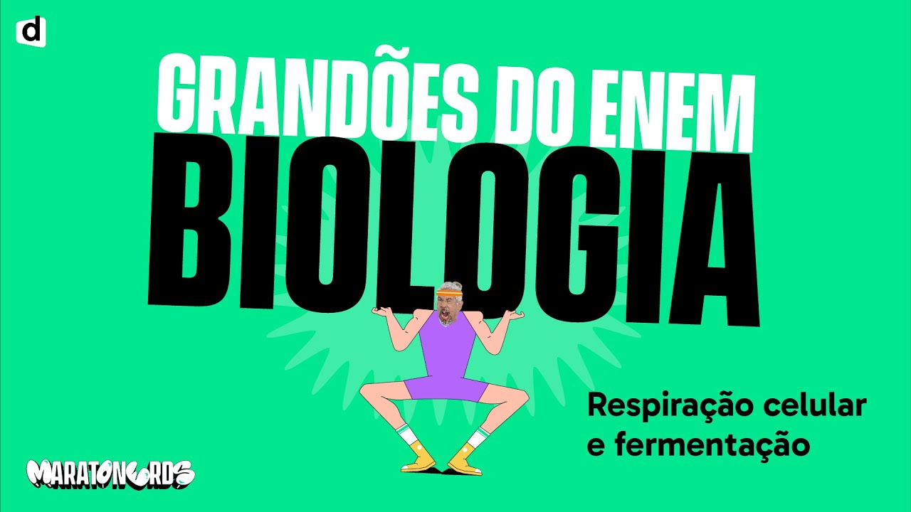 Respiração Celular e Fermentação - Resumo | Biologia
