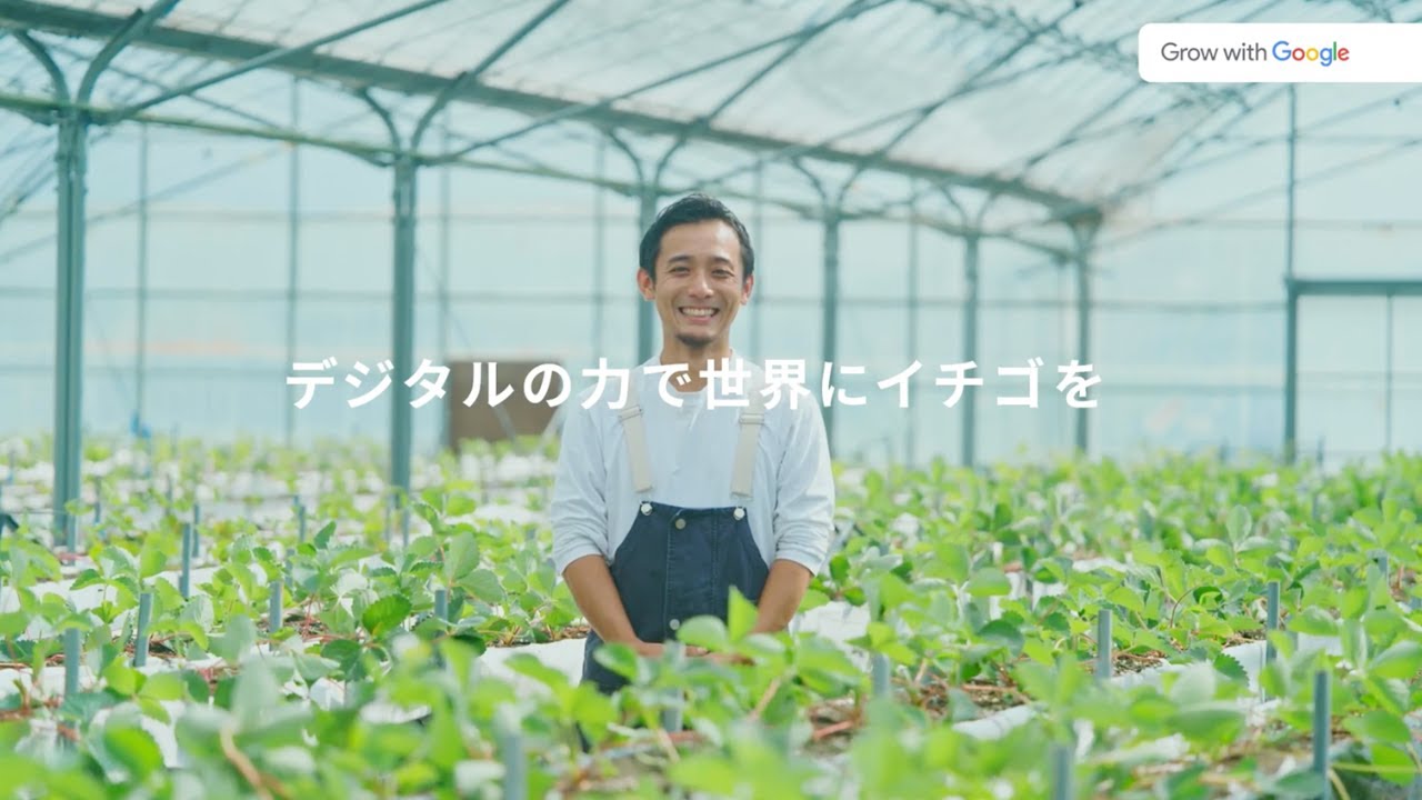 Video preview image