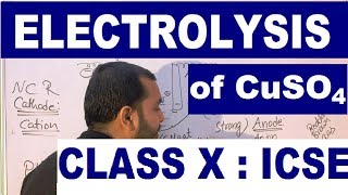 ElectrolySis Of Copper Sulphate Using Inert and Copper Electrode I Electrolysis class 10 ICSE |