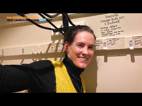 Lambourn Open Day - Brian Delaney on his life in Lambourn