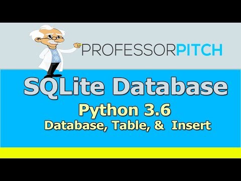 SQLite & Python 3.6: Build Database,Table,Insert