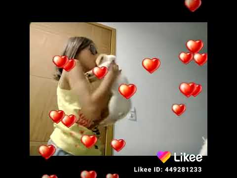Planeta das gêmeas Ana clara e o  filhotinho de cachorro dançando a música  miga invejosa 😘😍❤️❤️😱