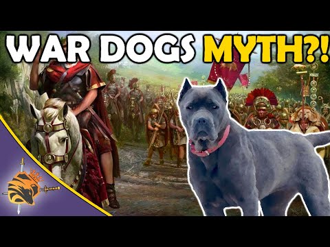 Were War Dogs Used In Ancient Warfare?!