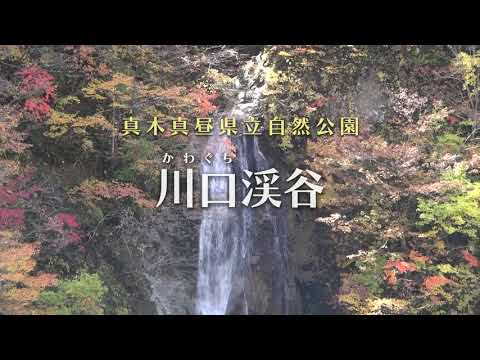 真木真昼県立自然公園_川口渓谷