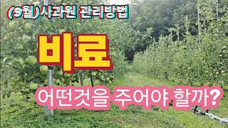 지금부터 사과나무 비료 이렇게 하시면 됩니다