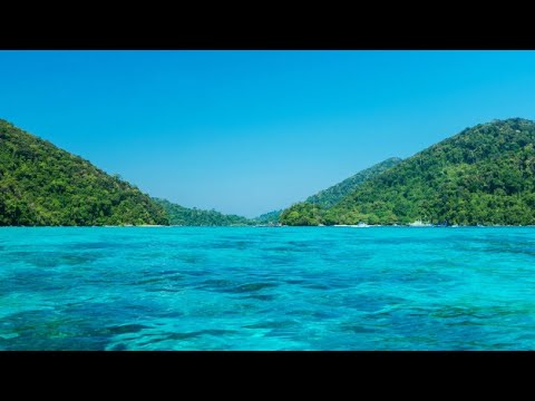 Siboy x Benash Type Beat 2020 "Réel" (Prod. Perfectionßoy π)