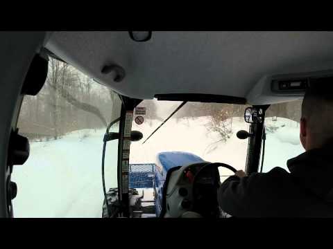 download lagu mp3 mp4 Southern Grooming, download lagu Southern Grooming gratis, unduh video klip Southern Grooming