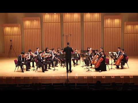 20180107 陽明愛樂音樂會Bach Brandenburg Concerto No 3 in G Major BWV 1048