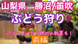 【山梨県】勝沼の大々園で無農薬の美味しいぶどう狩り🍇&笛吹で豪華パフェを堪能【旅Vlog】Katunuma/Fuefuki/Yamanashi/Japan