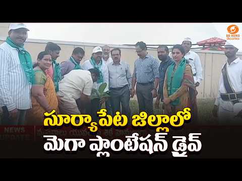 Mega Plantation Drive Held Across Suryapet, Collector Tejas Nandalal Pawar Participates