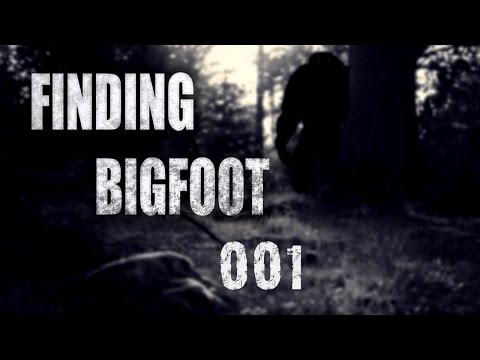FINDING BIGFOOT ★ #001 - Willkommen im Wald [Gameplay German | Deutsch | Koop] Lets Play