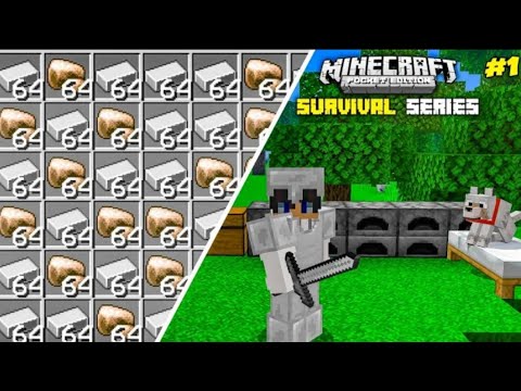 The Insane Minecraft PE Survival Prodigy!
