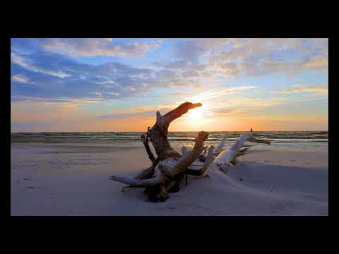 Fairouz - Shayef Al Bahr Sho Kebeer #jawla