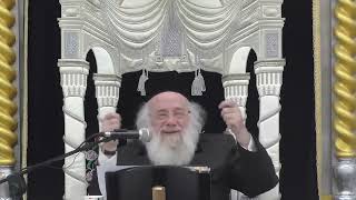 פרשת בלק תשפ"ג - הרב אברהם יפה שלזינגר - "שמעו ותחי נפשכם"