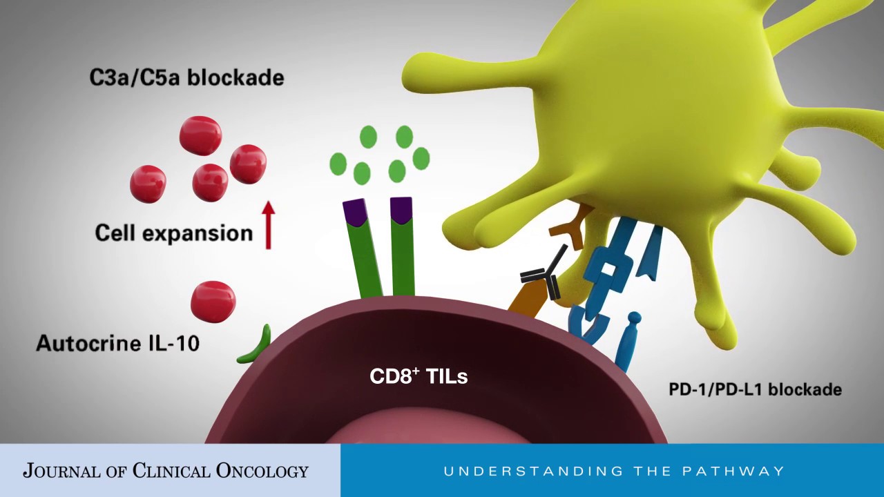Interleukin-10: An Immune-Activating Cytokine in Cancer Immunotherapy - YouTube