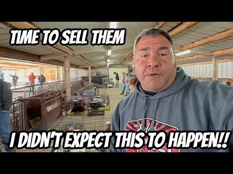 I Was Shocked By The Prices That I Got At The Auction!!￼￼