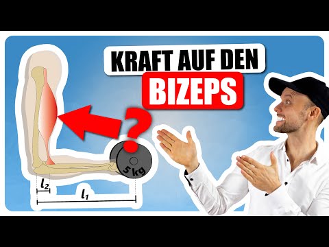 Calculate the lever law - exam question