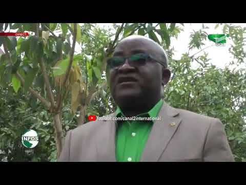 LE JOURNAL 19H50 du Mardi 23/06/2020 - Canal 2 international