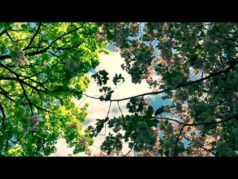 Kazuo Uehara (上原和夫) - 'Autumn' (Prologue) (～秋のプロローグ)