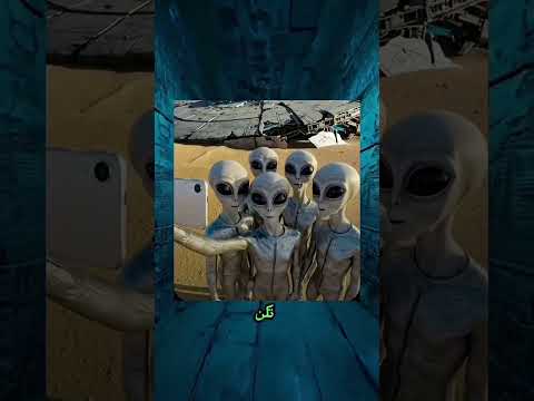 😳3 حيوانات ذُكرت في القرآن الكريم 🐾📖 … أما الأخيرة فستدهشك! 😱�