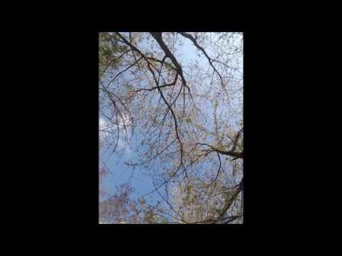 Ace. demo- original song