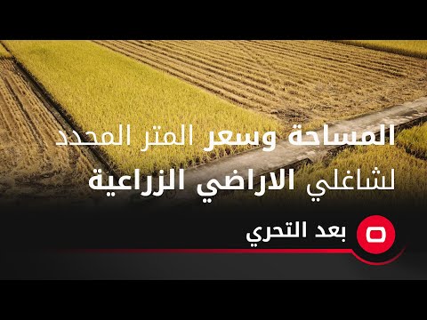 شاهد بالفيديو.. المساحة وسعر المتر المحدد لشاغلي الاراضي الزراعية؟