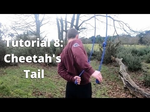 Tutorial 8: Cheetah's Tail
