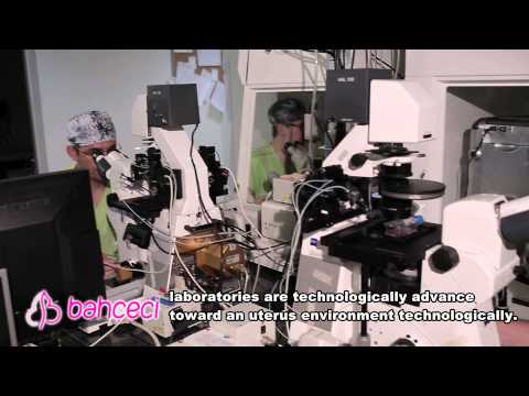 How conditions are followed-up in embryology laboratory?