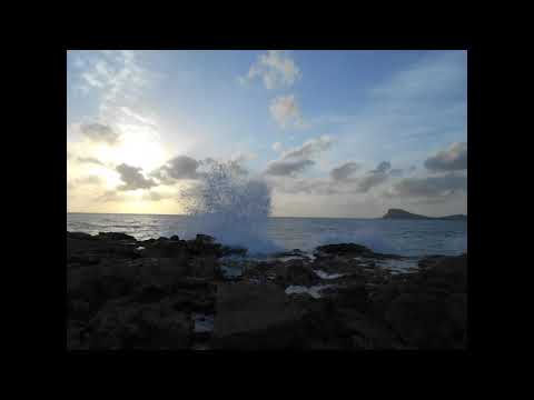 * FANTCHA ..  FITCHAM OI..*