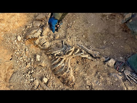 We Uncovered Something That Terrified The World ?? 🌍❗ [ Strange Metal Detector Find ]