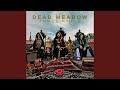 Lady (Live)