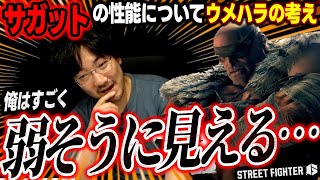 【スト6】もっと攻め攻めでよかった？サガットの性能についてのウメハラの考え【ストリートファイター6/豪鬼/梅原大吾/格ゲー】