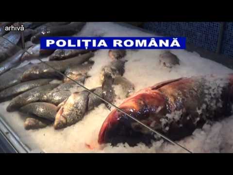 06.02.2017 / Ştire Etv - PEȘTE TRANSPORTAT ILEGAL DIN MOLDOVA!