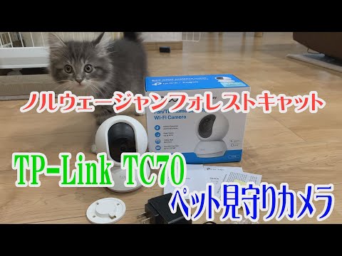 TP-LINK | Pakreipiama/sukama namų apsaugos Wi-Fi kamera | TC70 | PTZ | 2 MP | 4 mm / F2.4 | H.264 | Micro SD, maks. 128 GB video