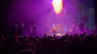 LIGHTNING SEEDS “BE MY BABY “