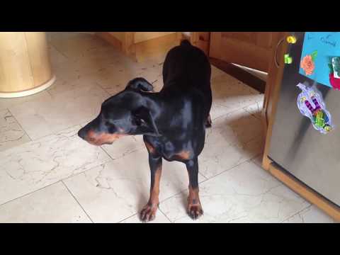 Enda Who?  Enda Story!