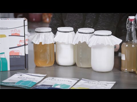 Kefir Types Explained | Milk vs Water Kefir Benefits & How to Choose