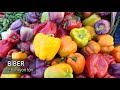 3. Sınıf  Hayat Bilgisi Dersi  Meyve ve Sebze Yetiştiriciliği & Meyve ve Sebzeler Nasıl Yetişir?    Türkiye&#39;de üretimi yapılan tarımsal ürünlerden meyve ve sebzelerin üretim miktarlarını konu edindiğimiz bu videomuz iki kısımdan ... konu anlatım videosunu izle