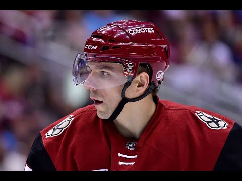 The Career of Radim Vrbata