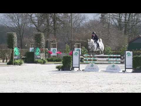 Call Me Clinton 3 (Clinton's Heart x Cassini ll)